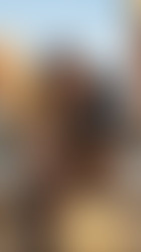 Geblurrte Content-Vorschau