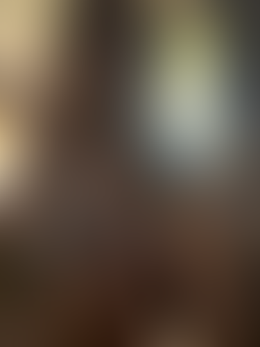 Geblurrte Content-Vorschau