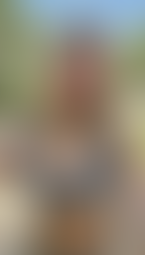 Geblurrte Content-Vorschau