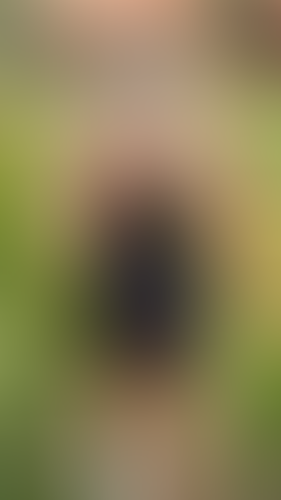 Geblurrte Content-Vorschau