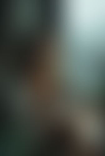 Geblurrte Content-Vorschau