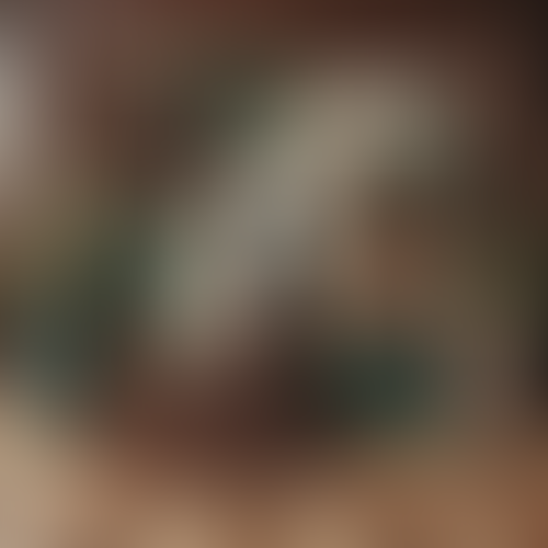 Geblurrte Content-Vorschau