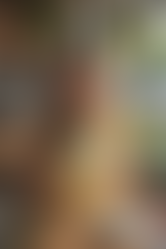 Geblurrte Content-Vorschau