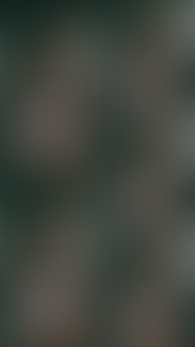 Geblurrte Content-Vorschau