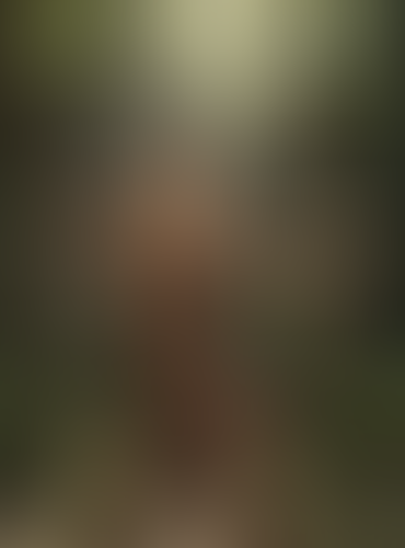 Geblurrte Content-Vorschau