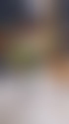 Geblurrte Content-Vorschau
