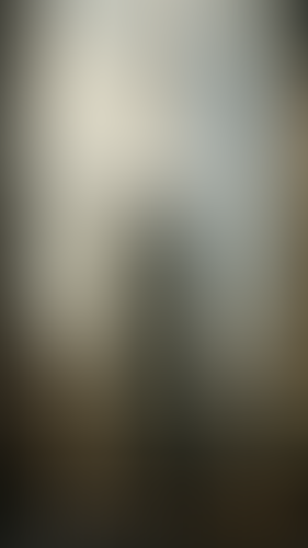 Geblurrte Content-Vorschau