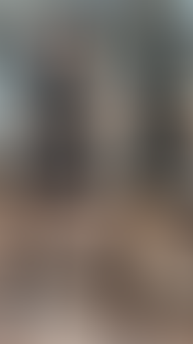 Geblurrte Content-Vorschau