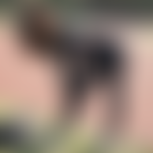 Geblurrte Content-Vorschau