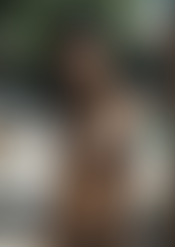 Geblurrte Content-Vorschau