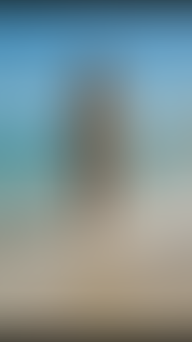 Geblurrte Content-Vorschau