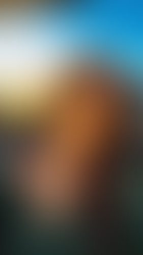 Geblurrte Content-Vorschau