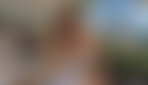 Geblurrte Content-Vorschau