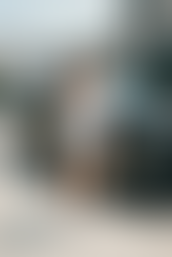 Blurred content preview