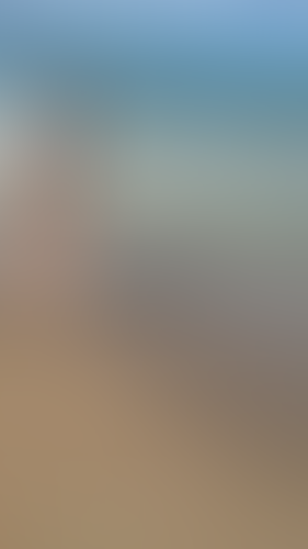 Geblurrte Content-Vorschau