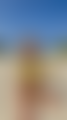 Geblurrte Content-Vorschau