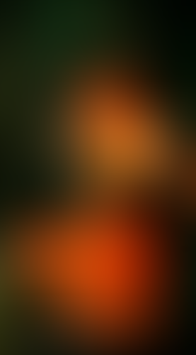 Geblurrte Content-Vorschau