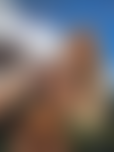 Geblurrte Content-Vorschau