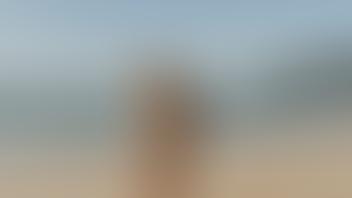 Geblurrte Content-Vorschau