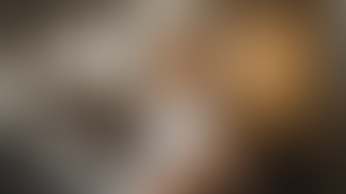 Geblurrte Content-Vorschau