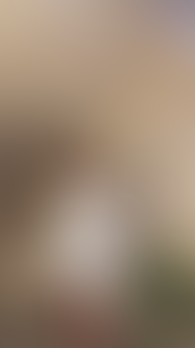 Geblurrte Content-Vorschau