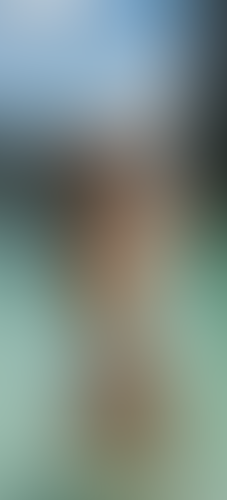 Geblurrte Content-Vorschau