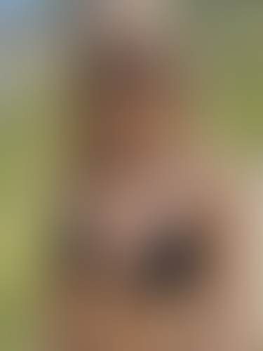 Geblurrte Content-Vorschau