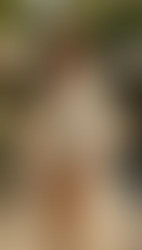 Geblurrte Content-Vorschau