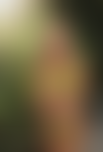 Geblurrte Content-Vorschau