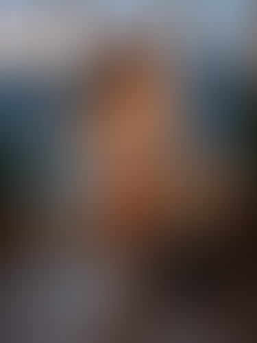 Blurred content preview