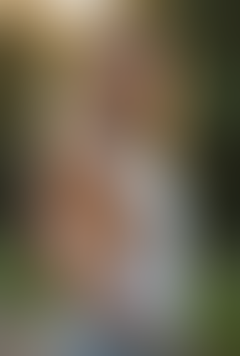 Geblurrte Content-Vorschau
