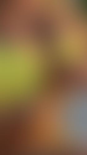 Blurred content preview