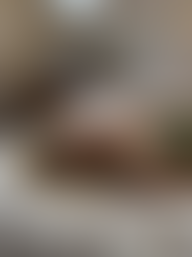 Geblurrte Content-Vorschau