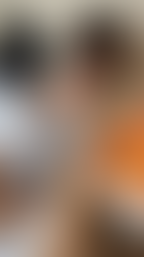 Blurred content preview