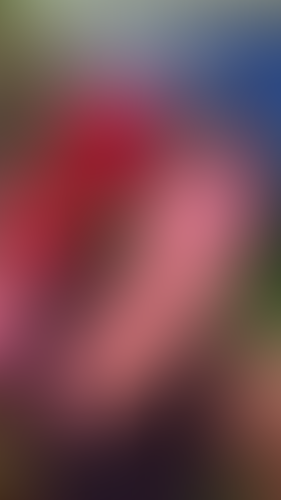 Geblurrte Content-Vorschau