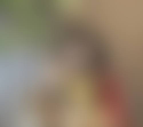 Blurred content preview