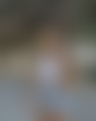 Blurred content preview