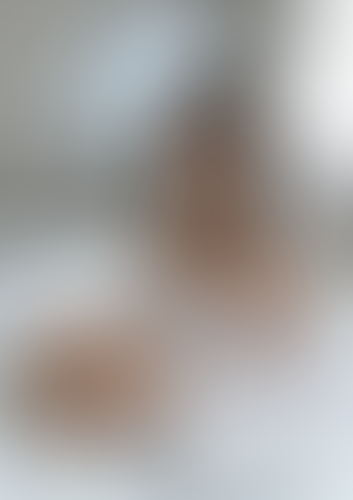 Blurred content preview