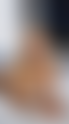 Blurred content preview