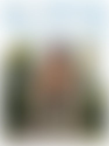 Geblurrte Content-Vorschau