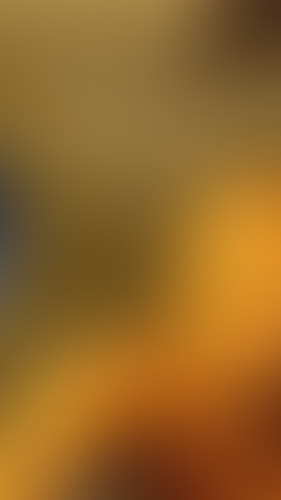 Geblurrte Content-Vorschau
