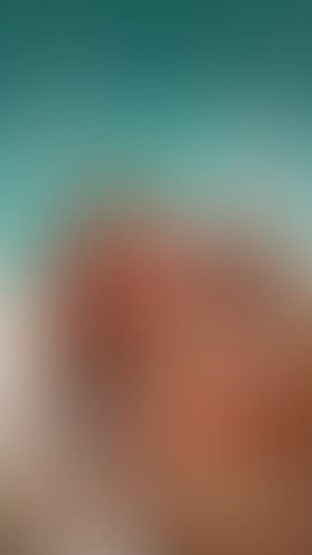 Geblurrte Content-Vorschau