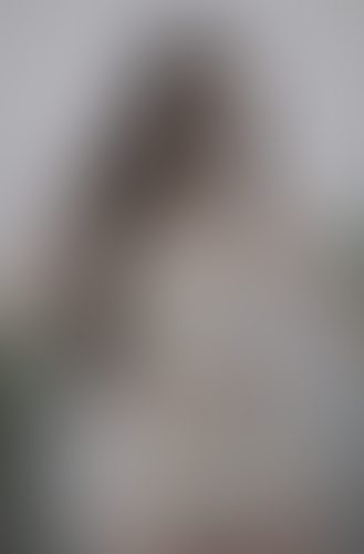 Blurred content preview