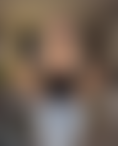 Geblurrte Content-Vorschau