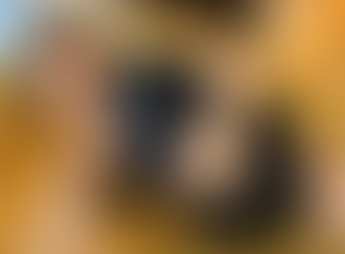 Blurred content preview
