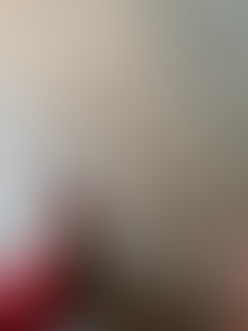Geblurrte Content-Vorschau