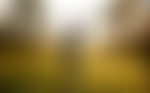 Geblurrte Content-Vorschau