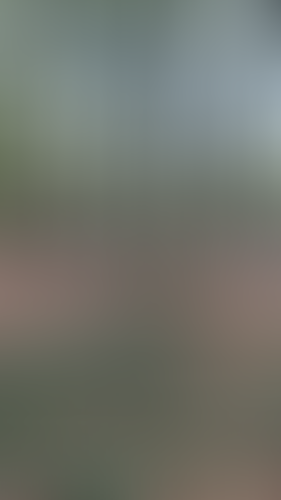 Geblurrte Content-Vorschau