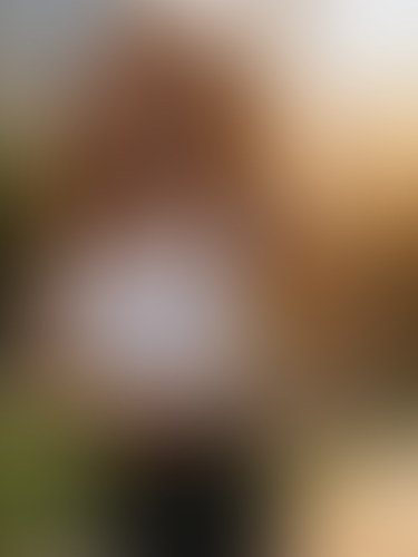 Blurred content preview