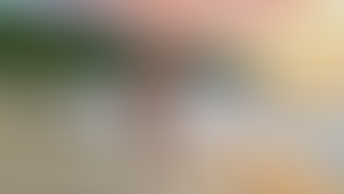 Blurred content preview
